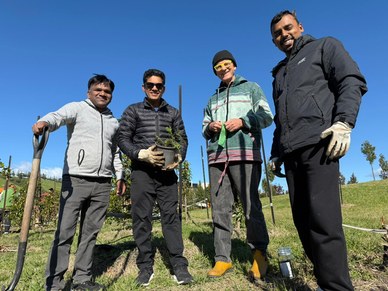 Tree Plantation Drive-Nan Tien Temple